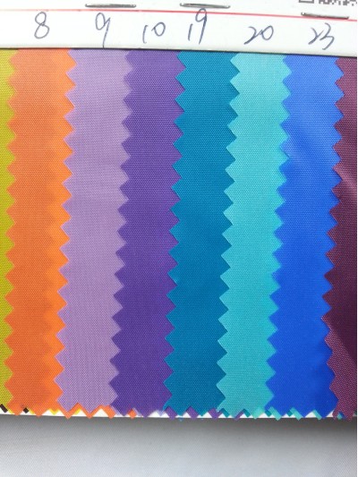 DG-BICG BC-1901 尼龍    背囊面料 後面照